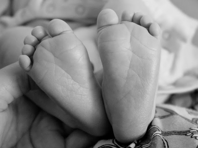 Syy bloggailutahdin muuttumiseen